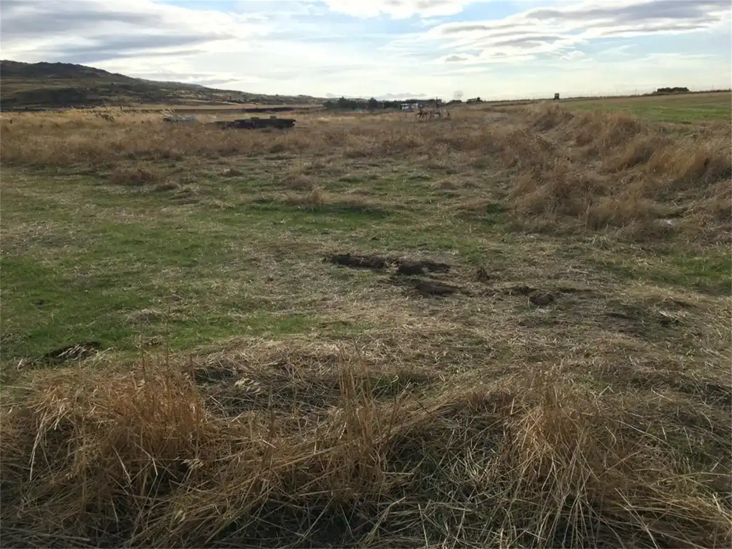 Land for sale in Gemuño, Ávila