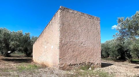 Immagine 3 dell'annuncio