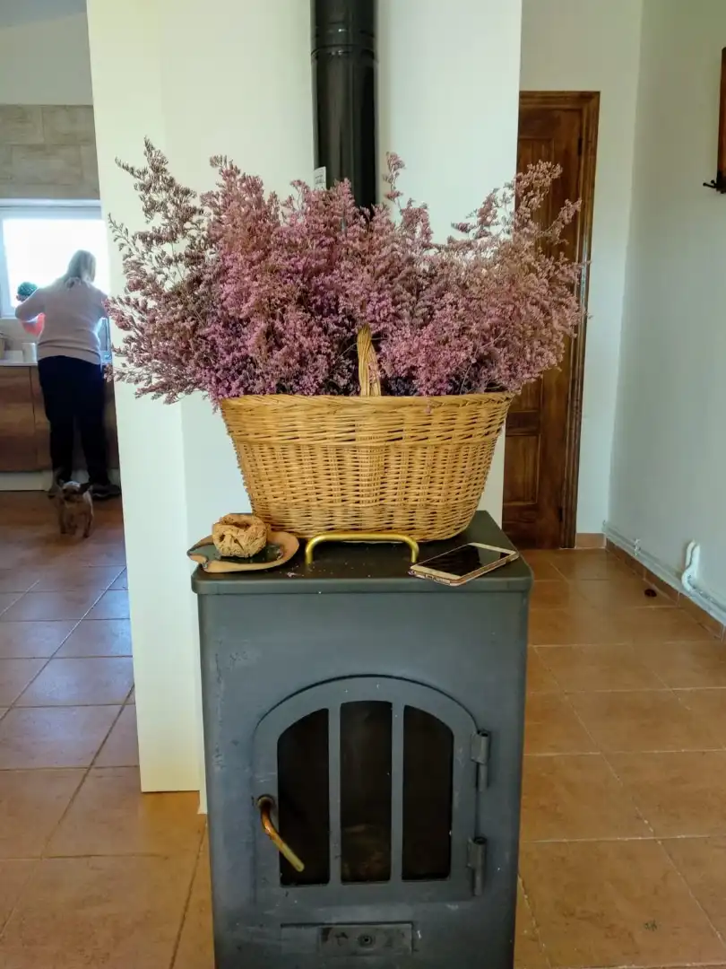 Villa avec terrasse à vendre à N/A, imagen 15