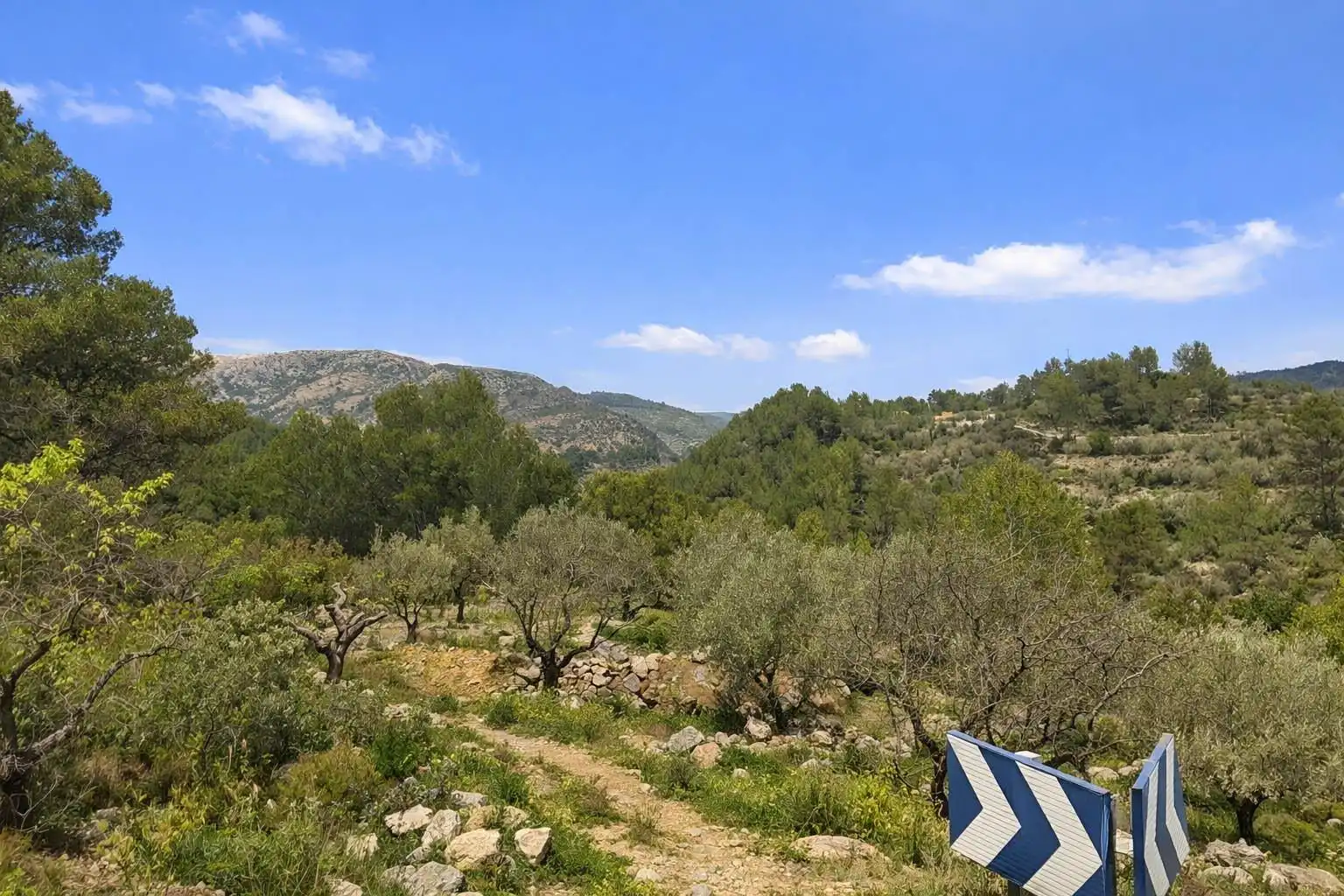 Land for sale in Castell de Castells
