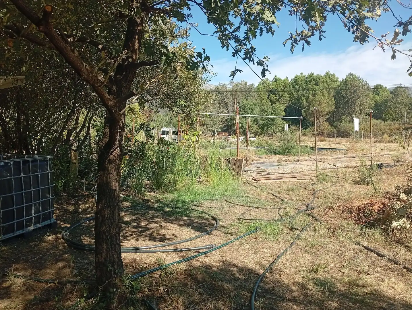Terrain rustique à vendre à Villanueva de la Vera, imagen 25