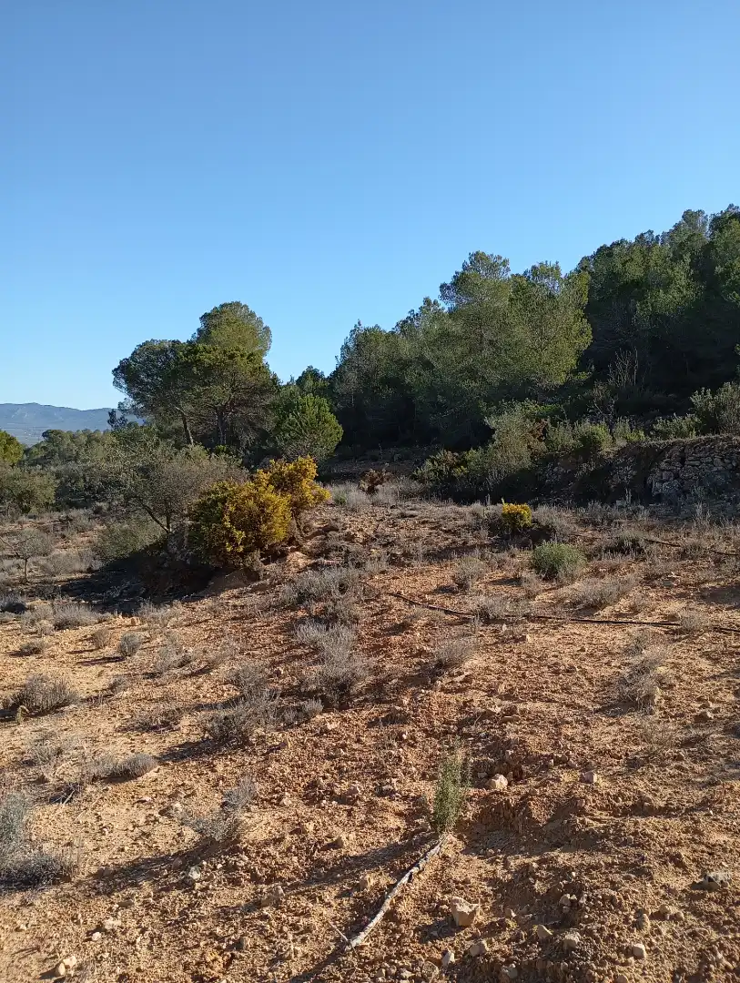 Grundstücke zum Verkauf in Cañada