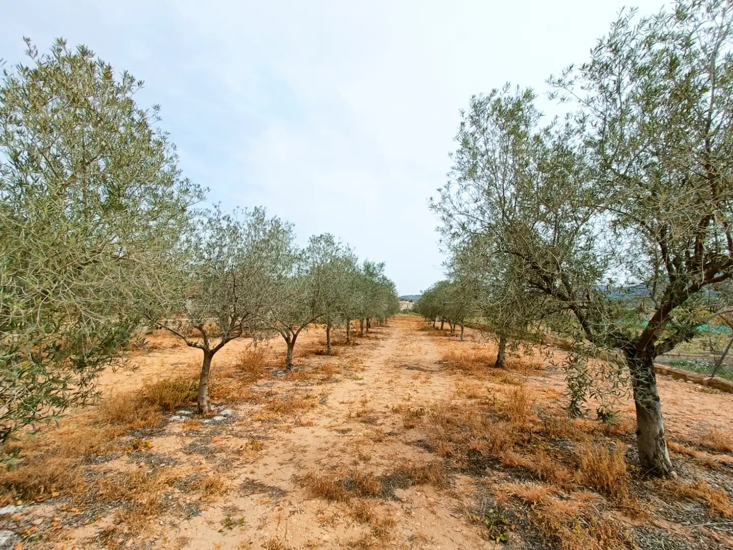 Villa in vendita a Hondón de los Frailes, imagen 34