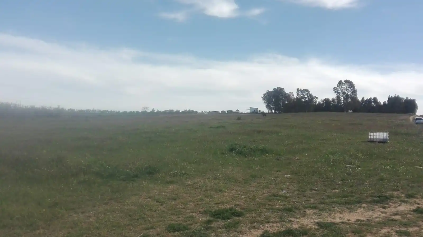 Finca rústica en venta en La Palma del Condado