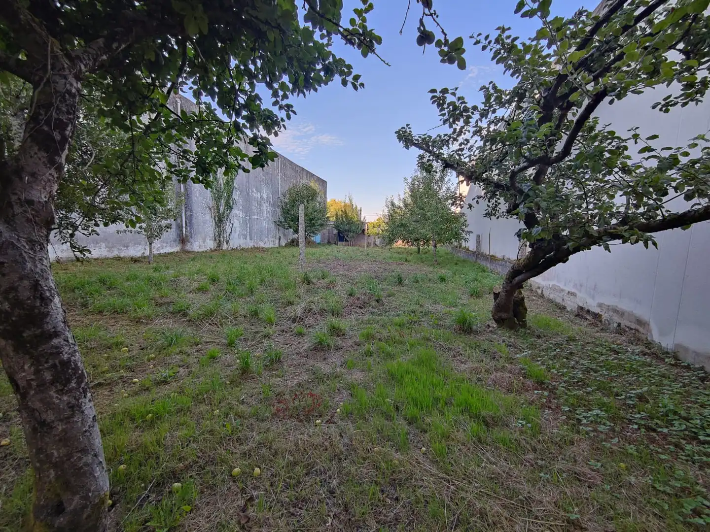 Casa amb terrassa en venda a Estrada de A Coruna