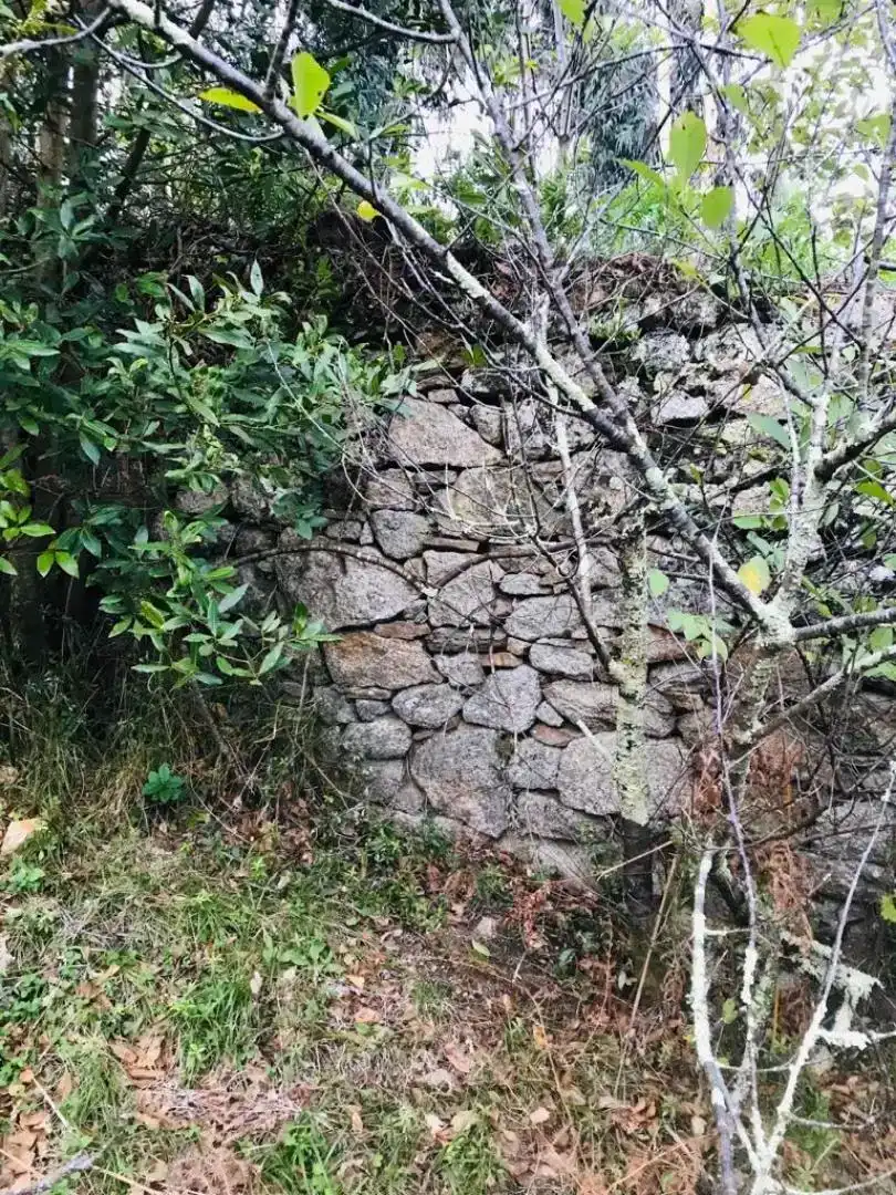 Casa o chalet en venta en Lugo con Jardín privado, Amueblado y Horno