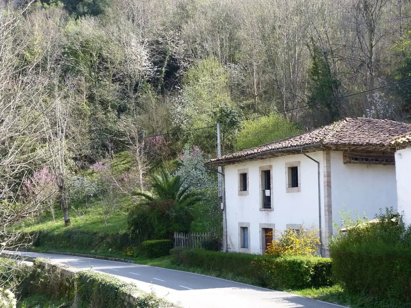 Casa con jardín en venta en Puente los Grazos, imagen 4