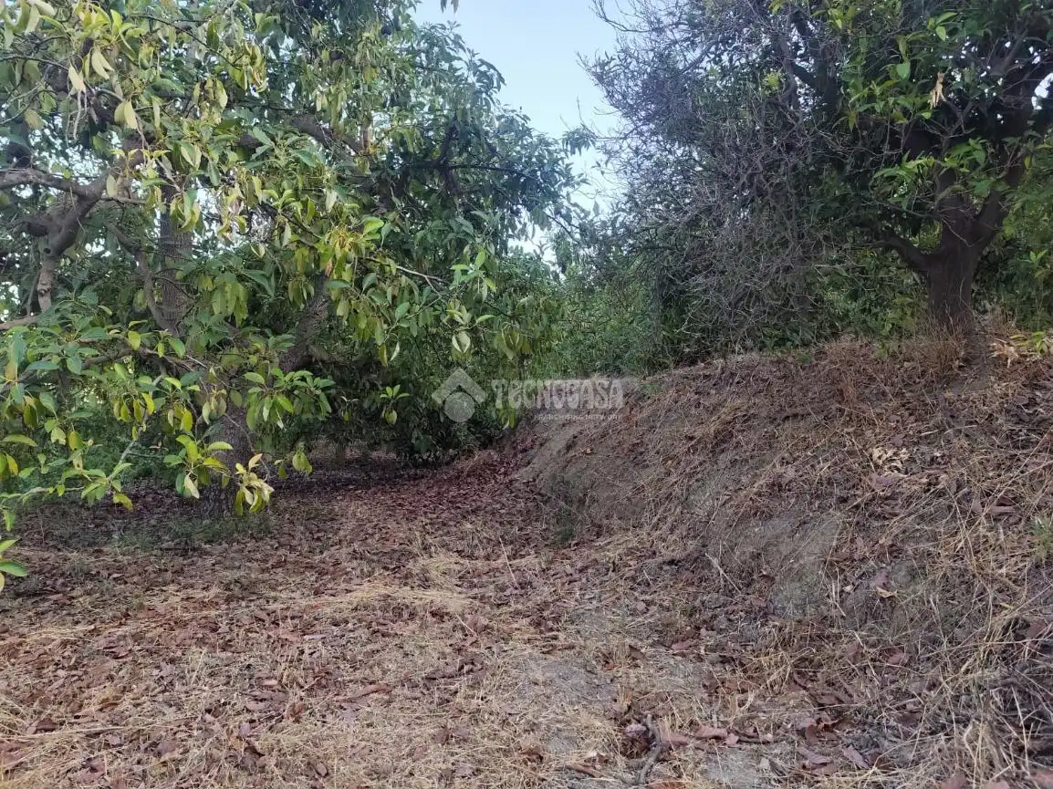 Terreno rustico in vendita a Los Guájares, imagen 19