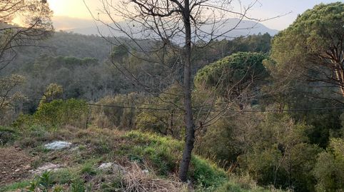 PARCELA CON FANTÁSTICAS VISTAS AL MONTSENY EN VENTA A RIELLS I VIABREA., imatge 2