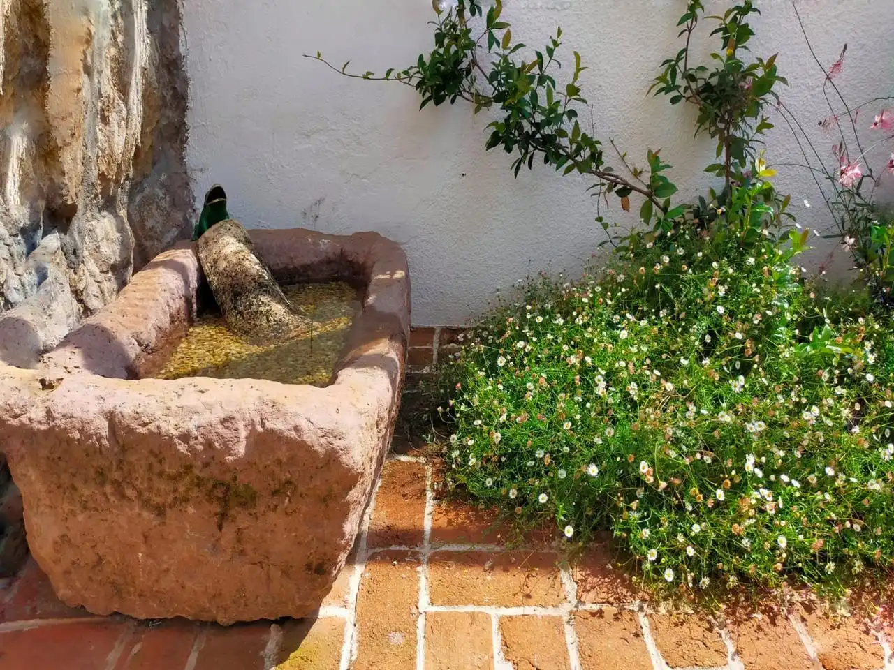 Jardí de Planta baixa de lloguer en Santander amb Calefacció, Jardí privat i Terrassa