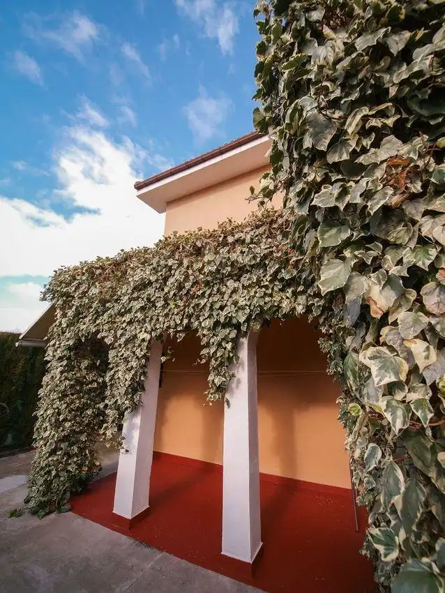 Vista exterior de Casa o chalet en venta en Trespaderne con Calefacción, Jardín privado y Terraza