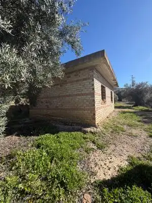 Land for sale in Alfarnatejo