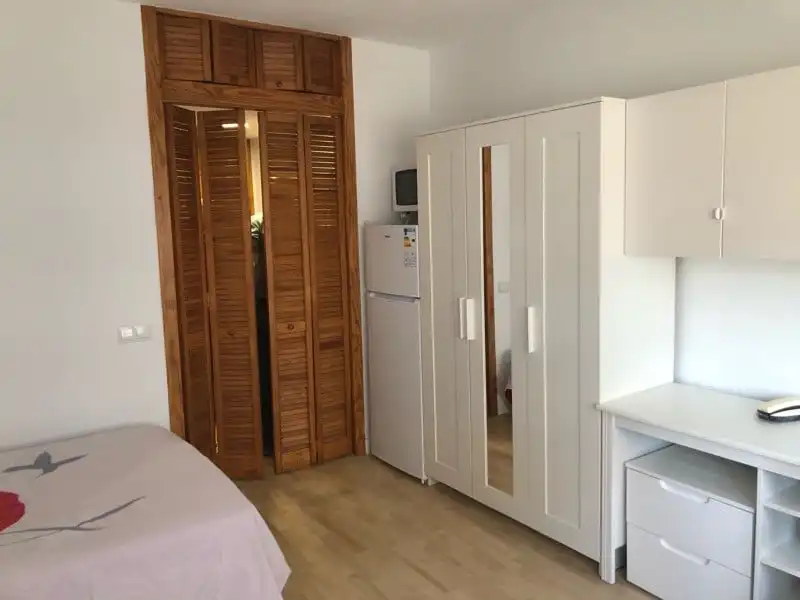 Dormitori de Estudi de lloguer en Madrid amb Aire condicionat, Moblat i Es permeten mascotes