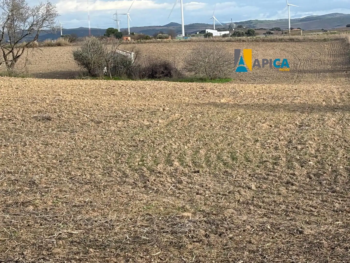 Rustikales Grundstück zum Verkauf in Los Franceses – La Vega, imagen 3