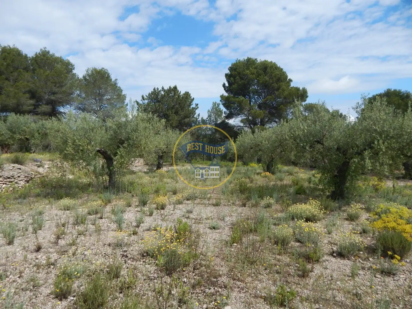 Terreno en venta en Bélgida