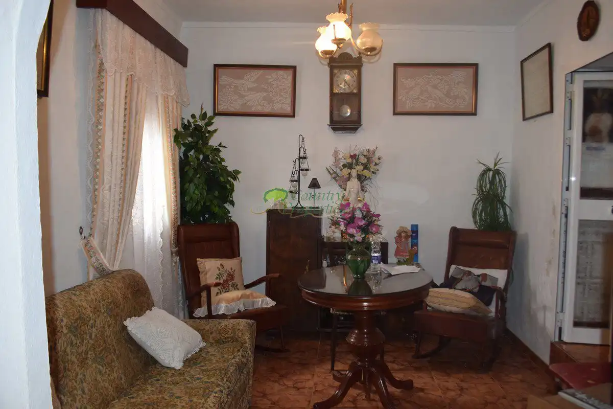 Sala d'estar de Casa o xalet en venda en Cómpeta amb Terrassa i Traster