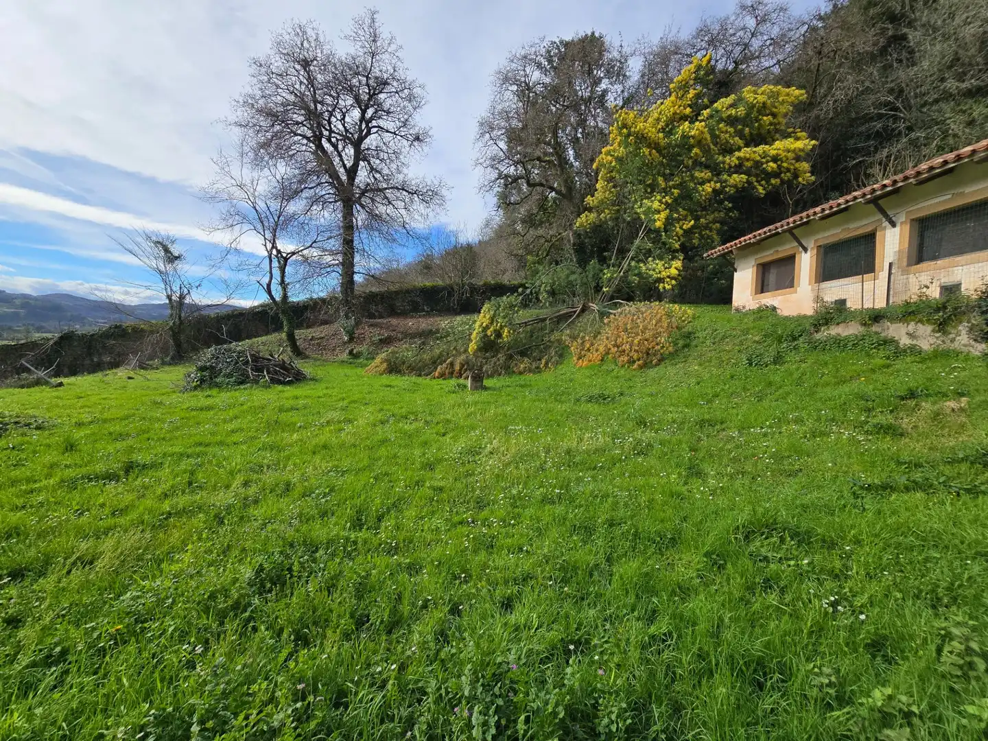 Casa o chalet en venta en Villaviciosa con Calefacción y Jardín privado