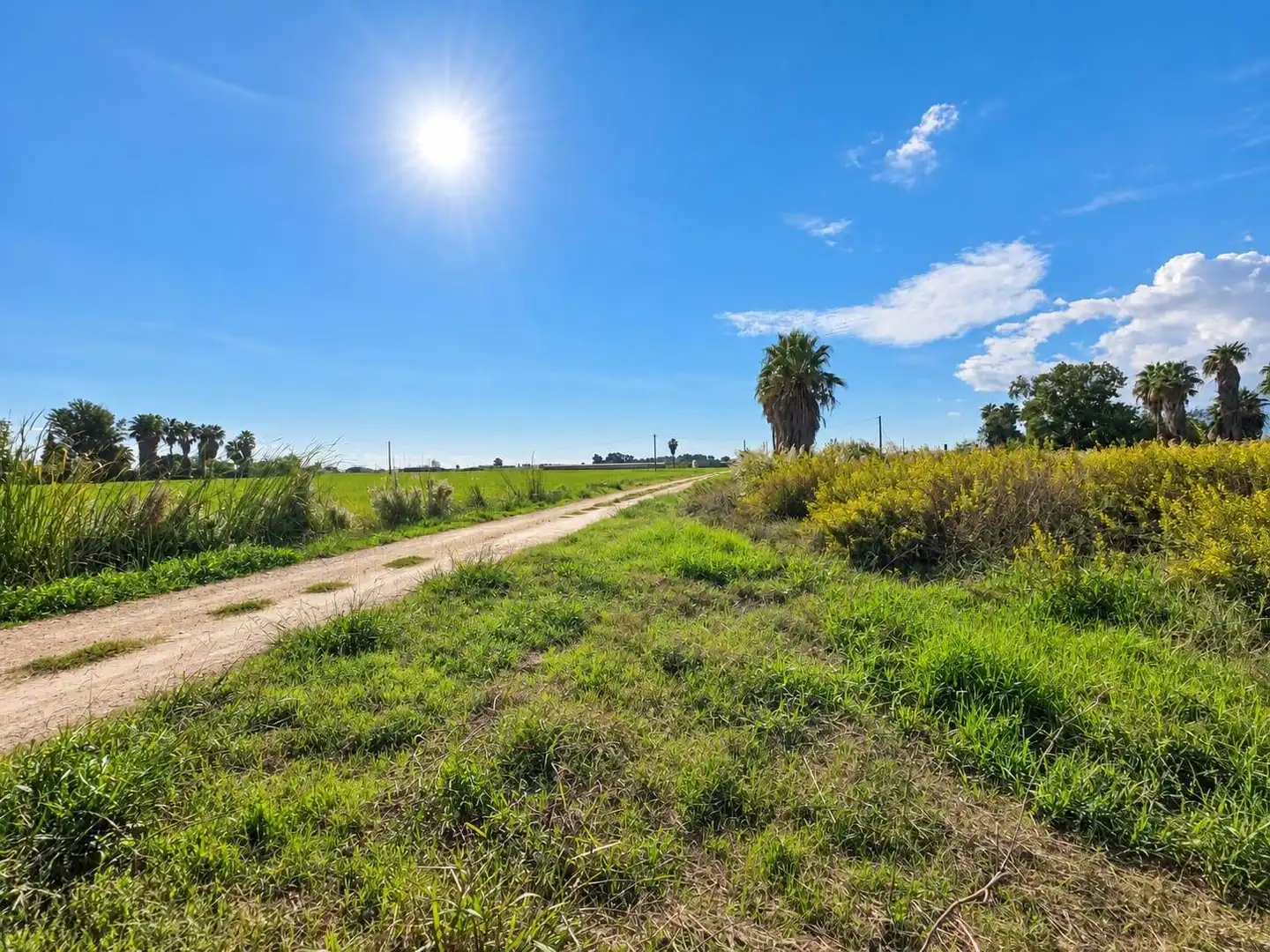 Rural land for sale in Polígono Sèquia de la Figuerola Dreta, imagen 4