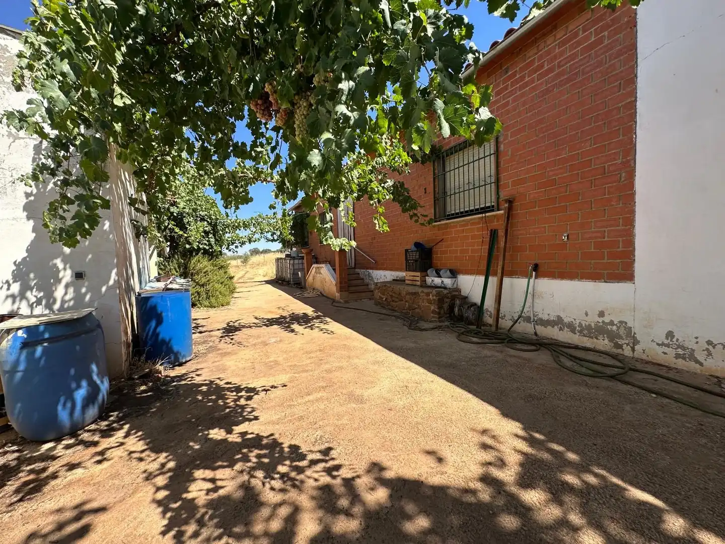 Rural land for sale in Carretera Valdepeñas-Ciudad Real, imagen 23
