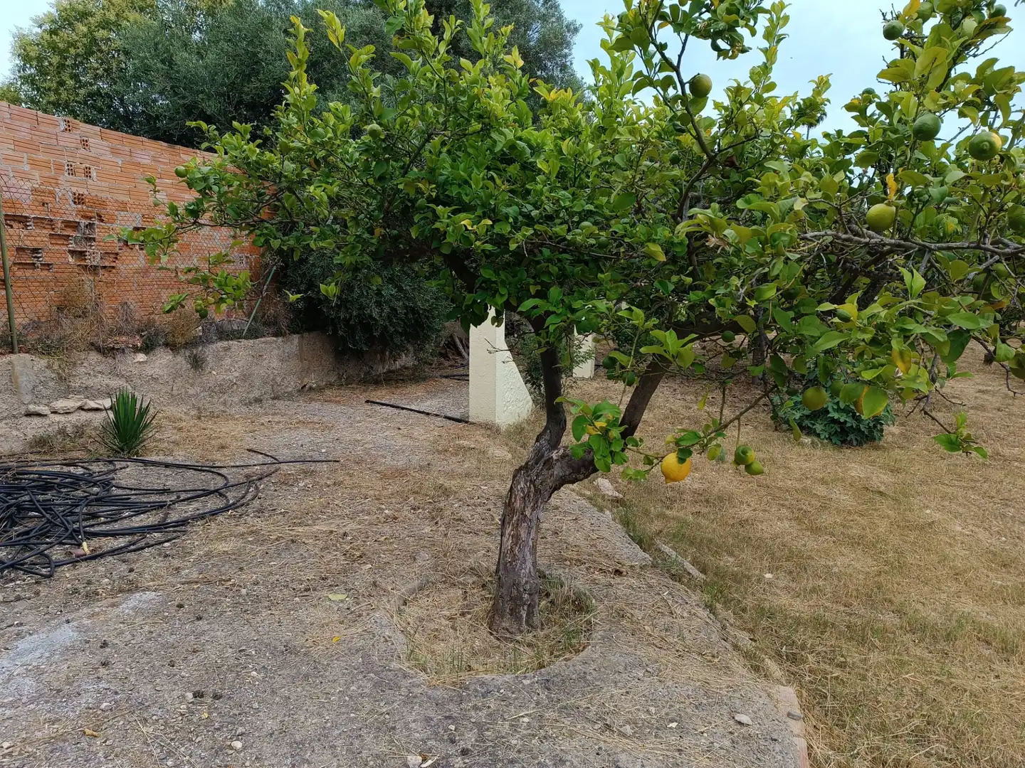 Terreno residencial en venta en Carrer Reus, imagen 13
