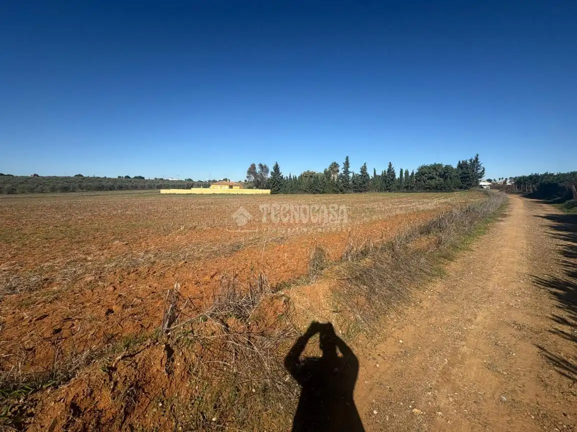 Terreni e lotti in vendita a Camino sanlucar la mayor olivares, imagen 13
