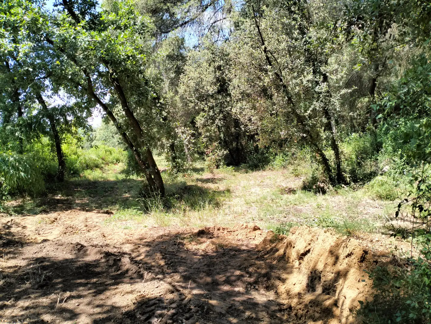Casa o xalet en venda en Cervià de Ter amb Jardí privat, Terrassa i Balcó