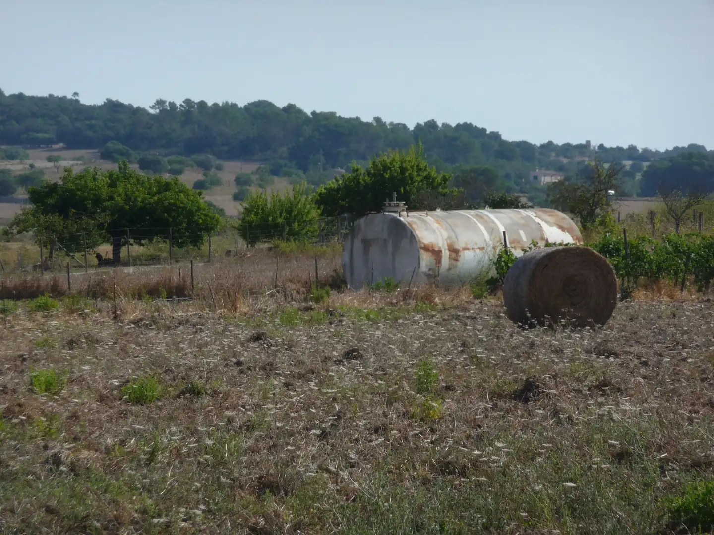 Terreni e lotti in vendita a Algaida, imagen 19
