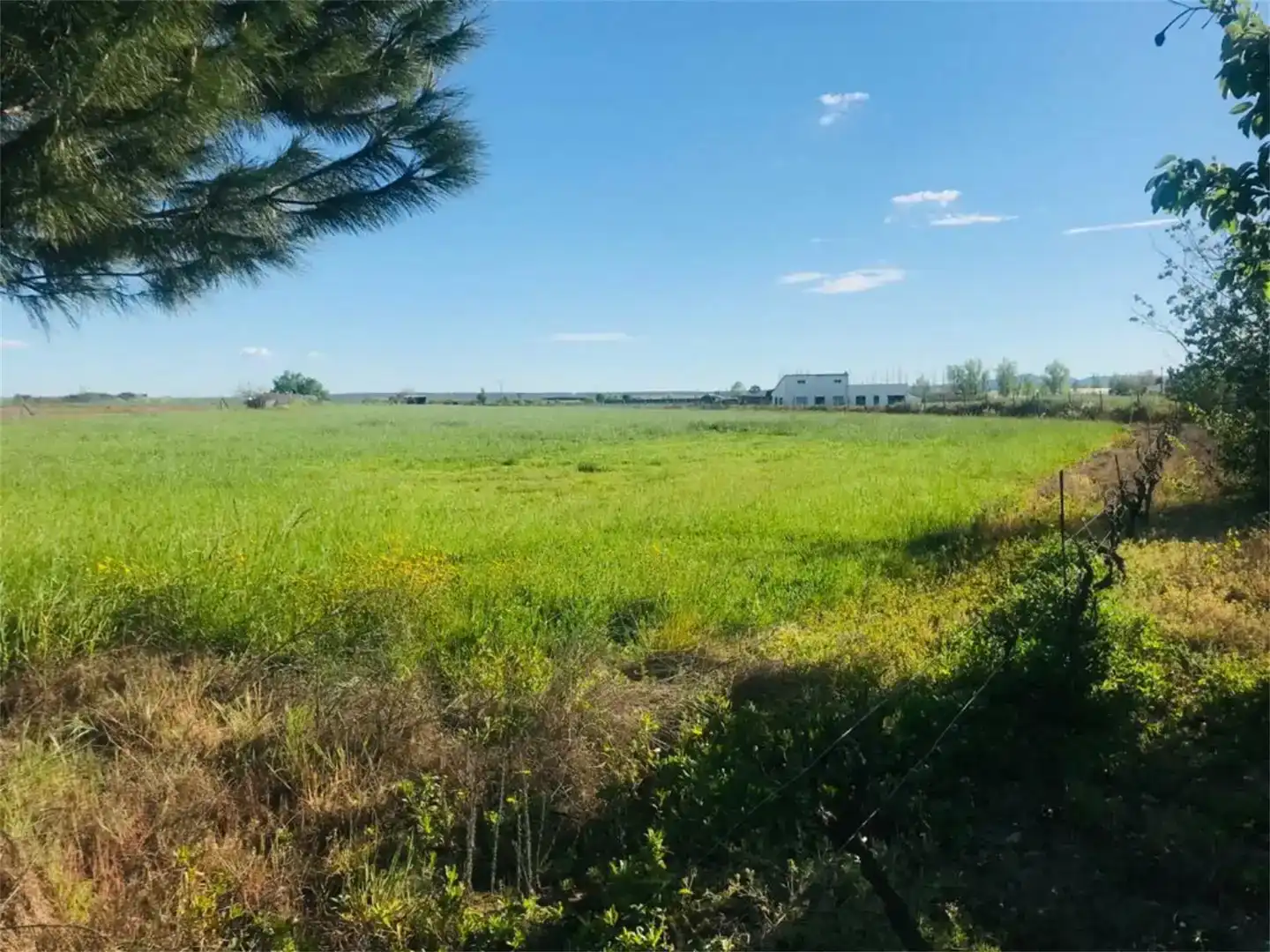 Land for sale in Moraleja