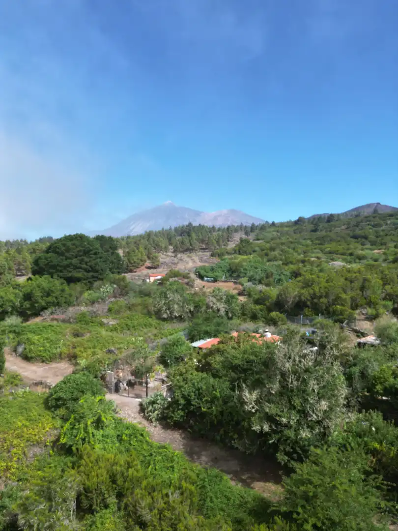 Terreny rústic en venda a El Tanque, imagen 4