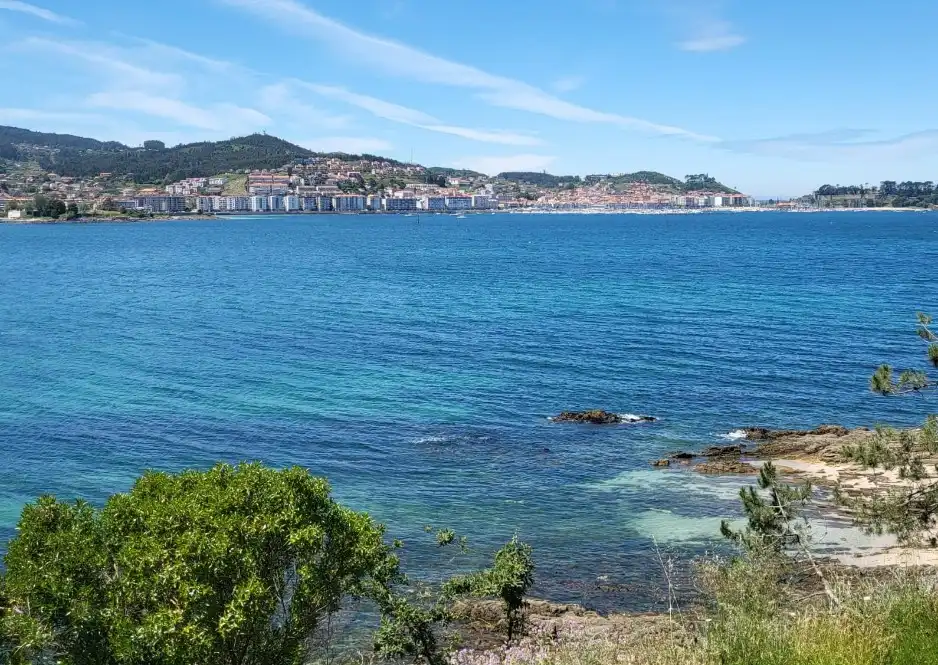 Chalet en venta en Subida Monte Lourido, imagen 3