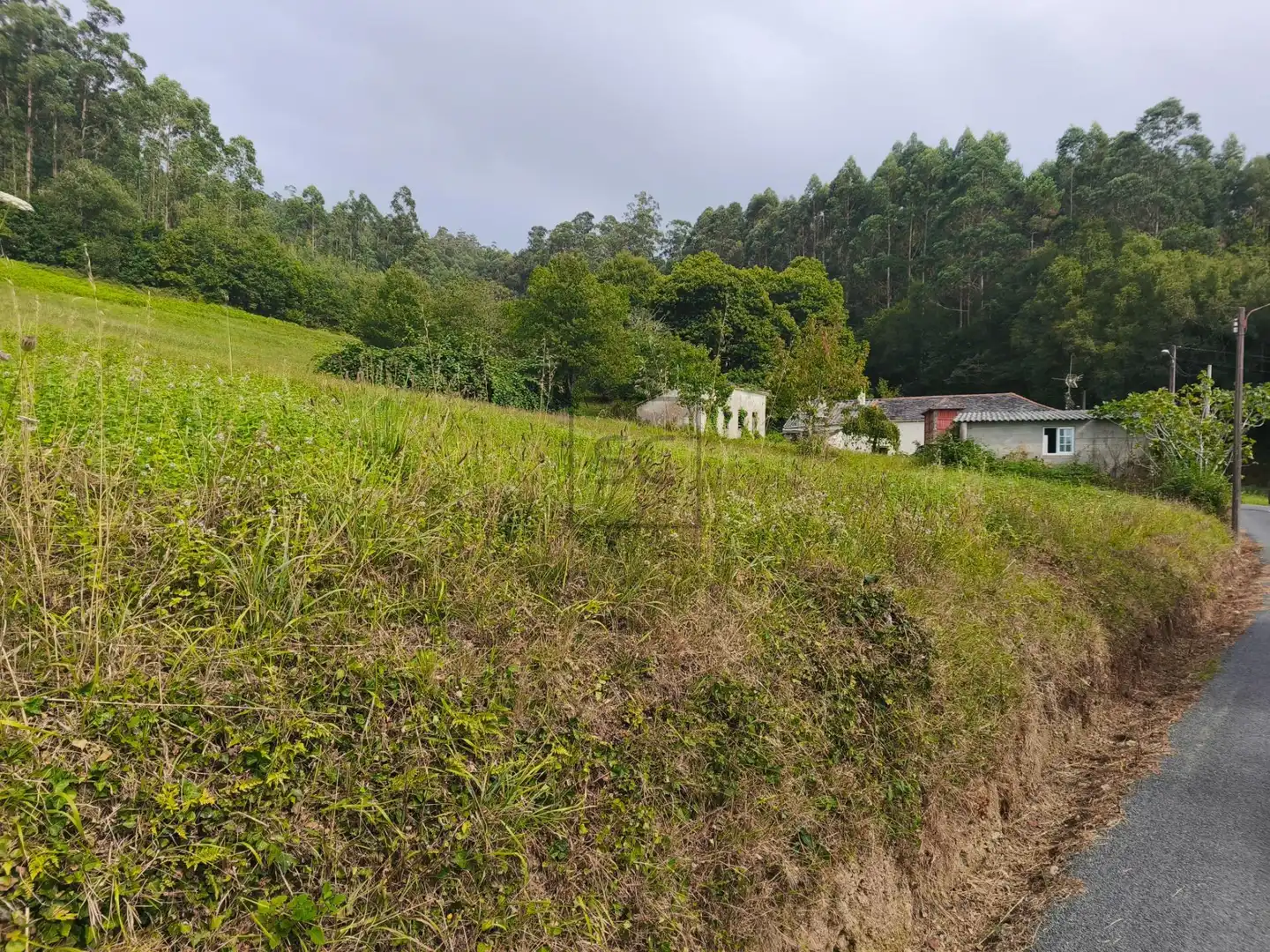 Casa en venda a SEARA. FERREIRA, imagen 41