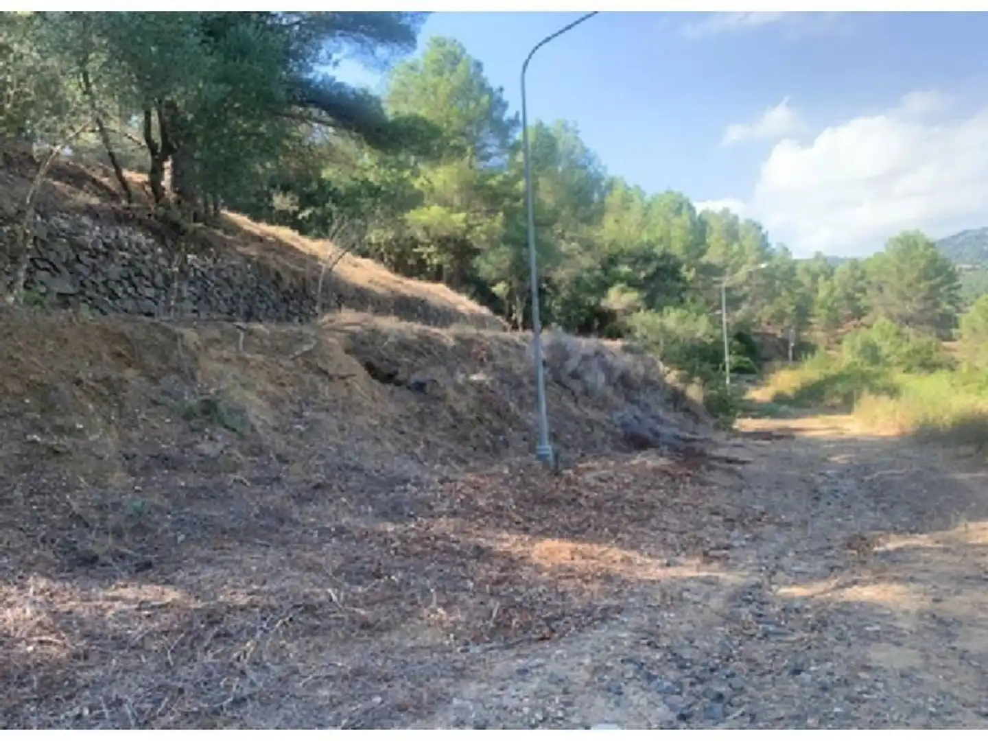 Terreno rustico in vendita a Calle de les Rutxel les 128, imagen 6