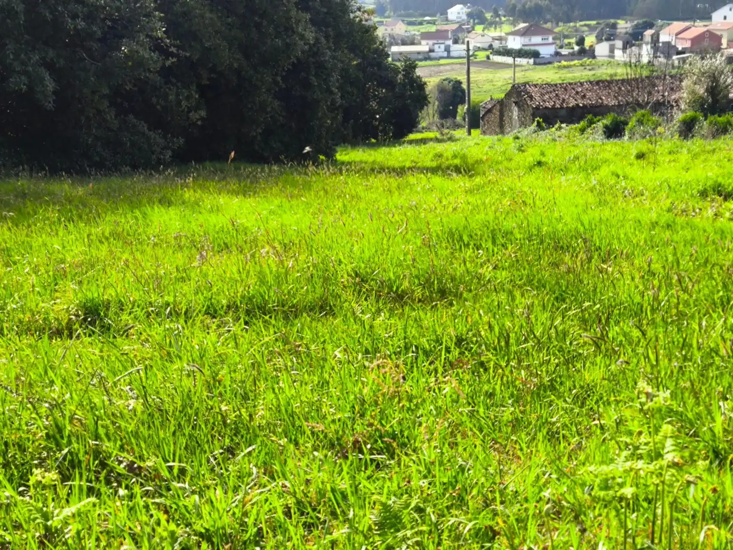 Terreni e lotti in vendita a Lugar PASACONDIA, imagen 4