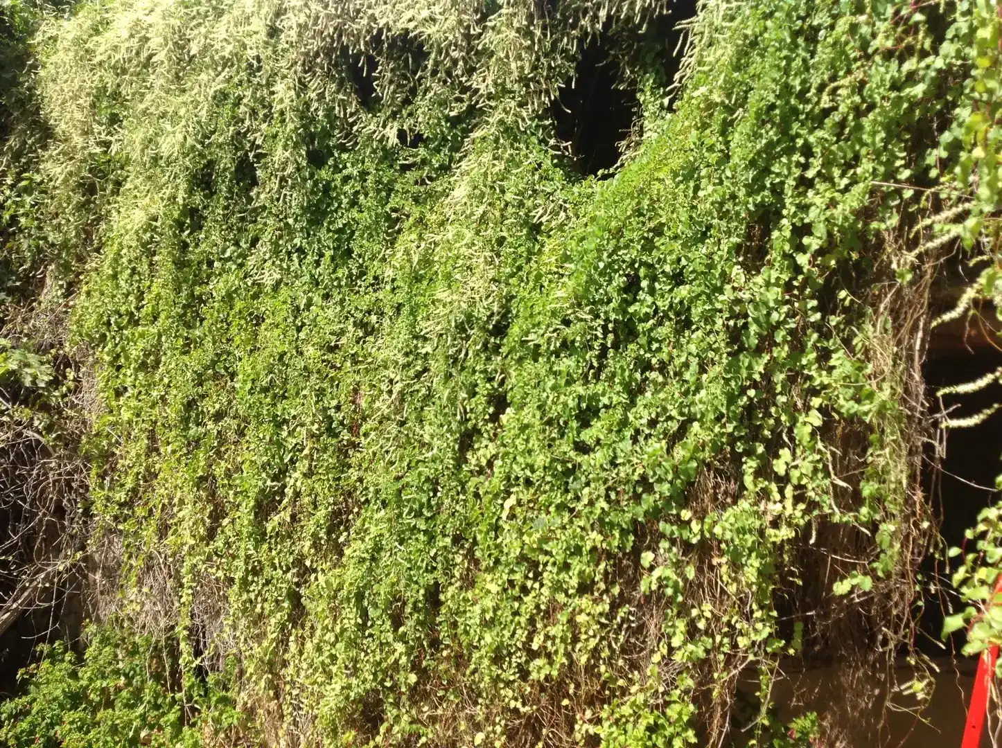 Jardí de Finca rústica en venda en Riba-roja d'Ebre