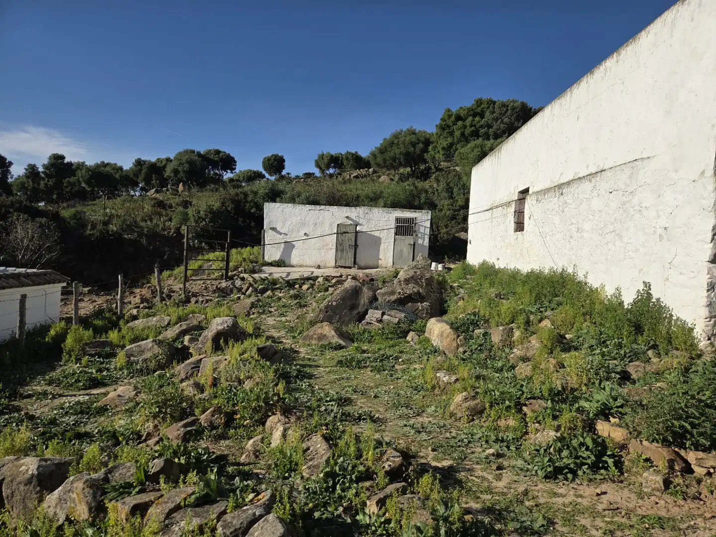 Country homes for sale in Tarifa ciudad