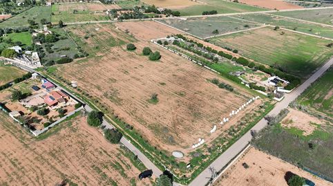 Foto 3 de Terreno en venta en Carrer D'antoni Maura, 79, Llucmajor pueblo, Llucmajor
