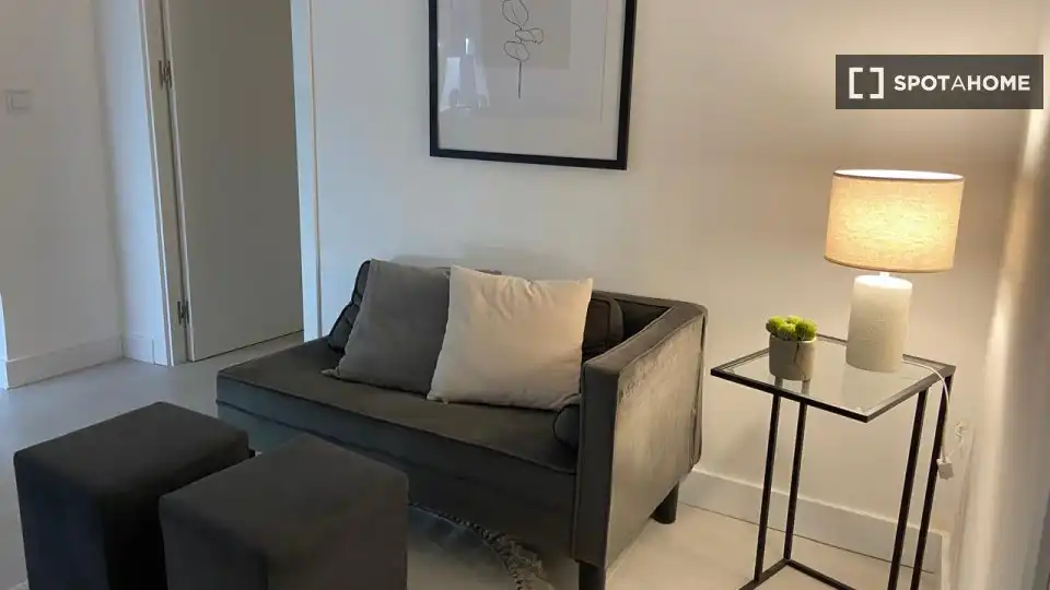 Sala de estar de Piso de alquiler en Madrid con Aire acondicionado, Calefacción y Amueblado
