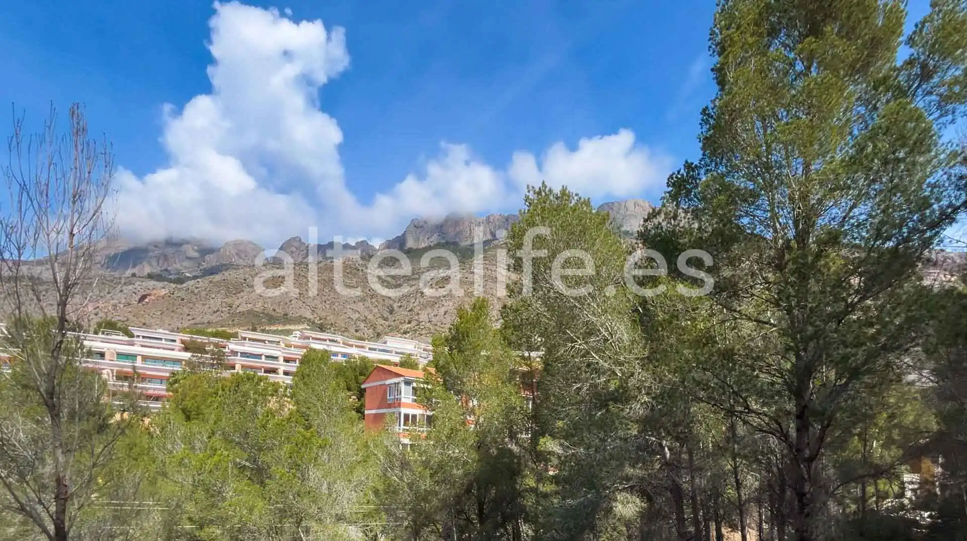 Terreny residencial en venda a Calle Erica, imagen 6