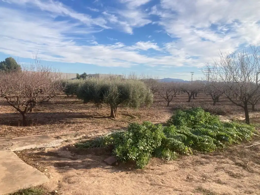 Casa o xalet en venda en Fuente Álamo de Murcia amb Jardí privat i Traster