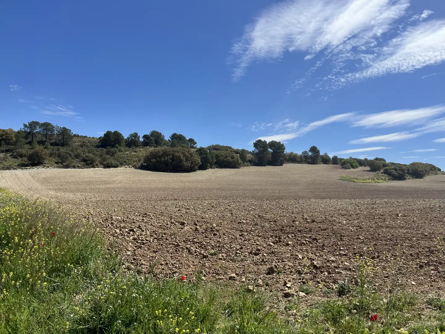 Rustikales Grundstück zum Verkauf in Avenida de Andalucía, imagen 11