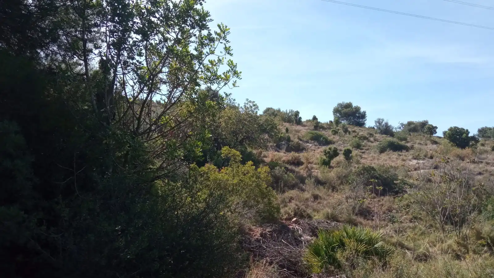 Residential land for sale in Poligono 11, imagen 6