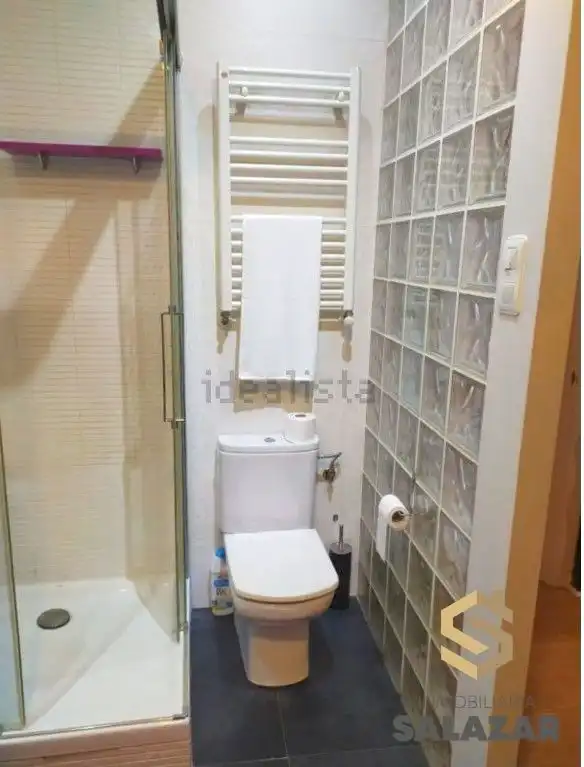 Baño de Piso de alquiler en Bilbao  con Calefacción y Terraza