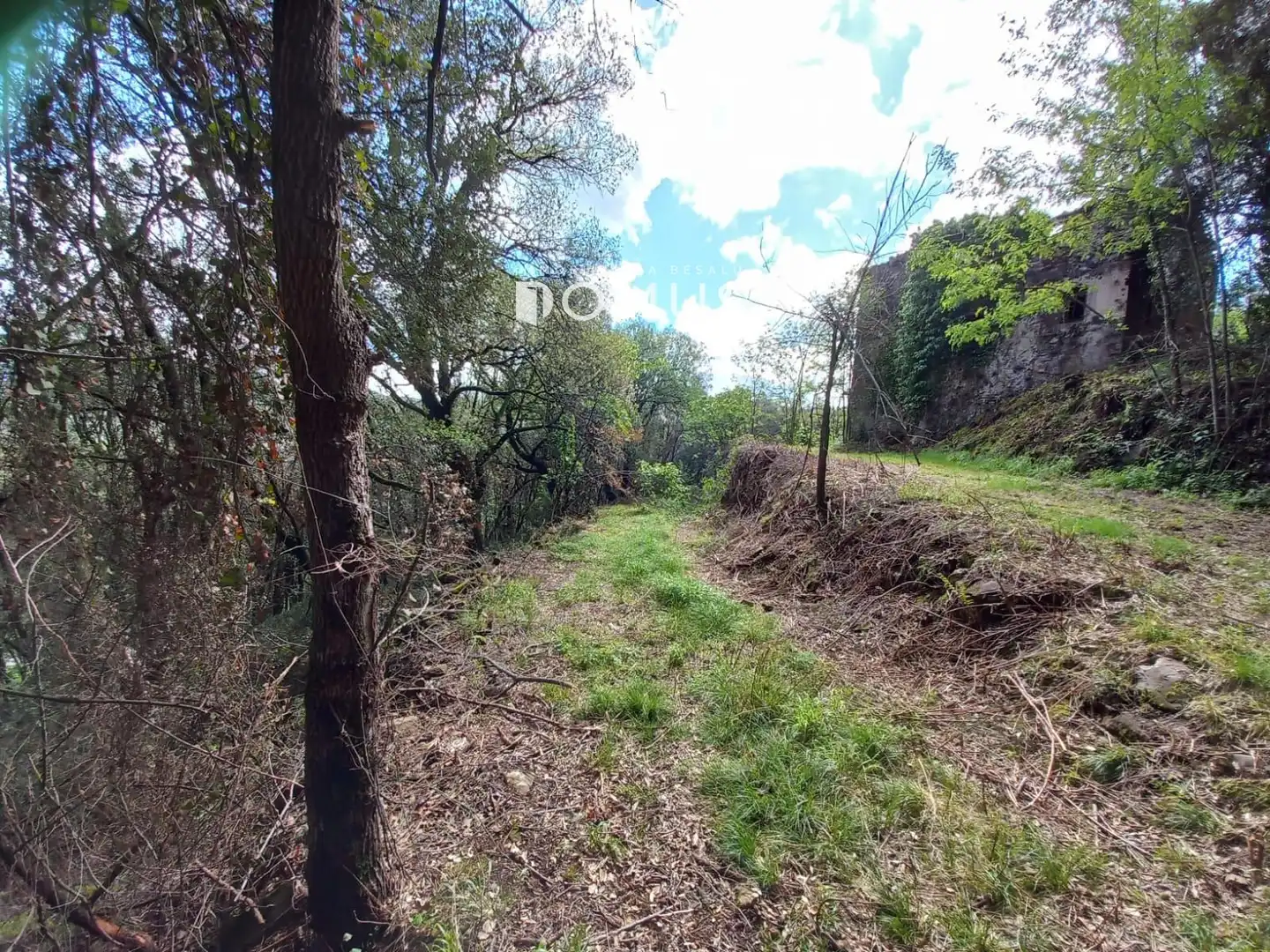 Finca rústica en venta en Sant Joan Les Fonts