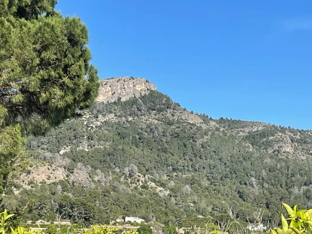 Terrain rustique à vendre à Partida Bases 254, imagen 29