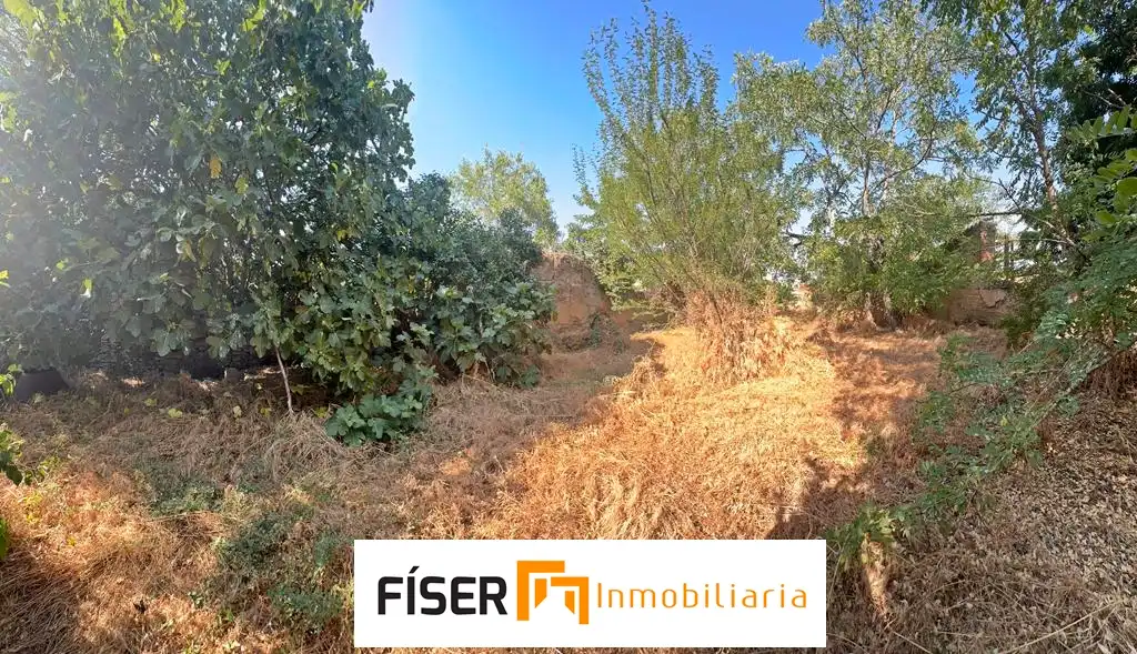 Casa o chalet en venta en Medina de las Torres con Jardín privado