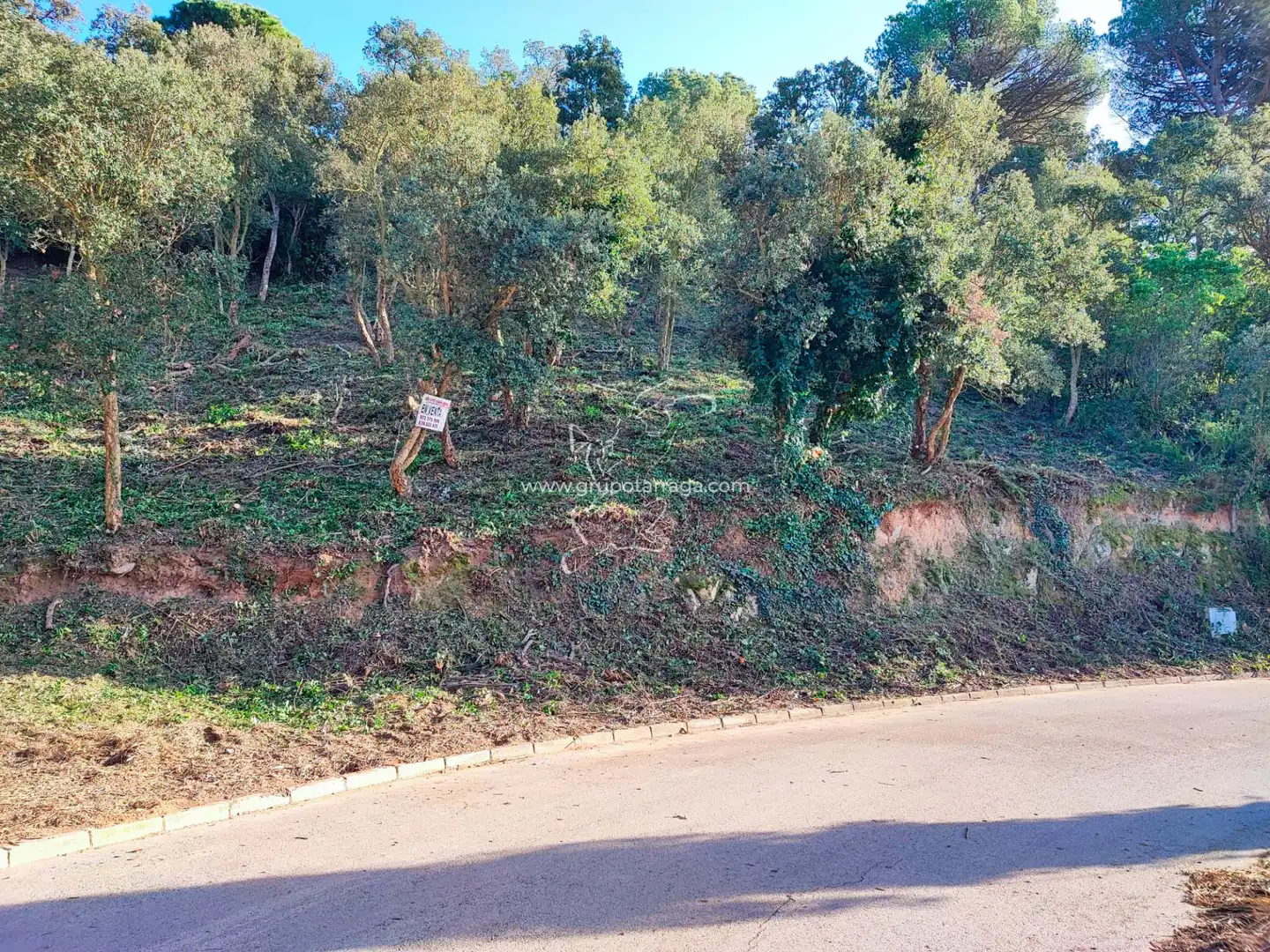 Terreny residencial en venda a Carrer Pollancre 35
