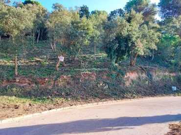 Terreny residencial en venda a Carrer Pollancre 35
