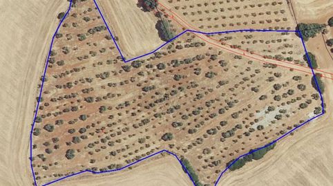 Terreno en venta en Carmona