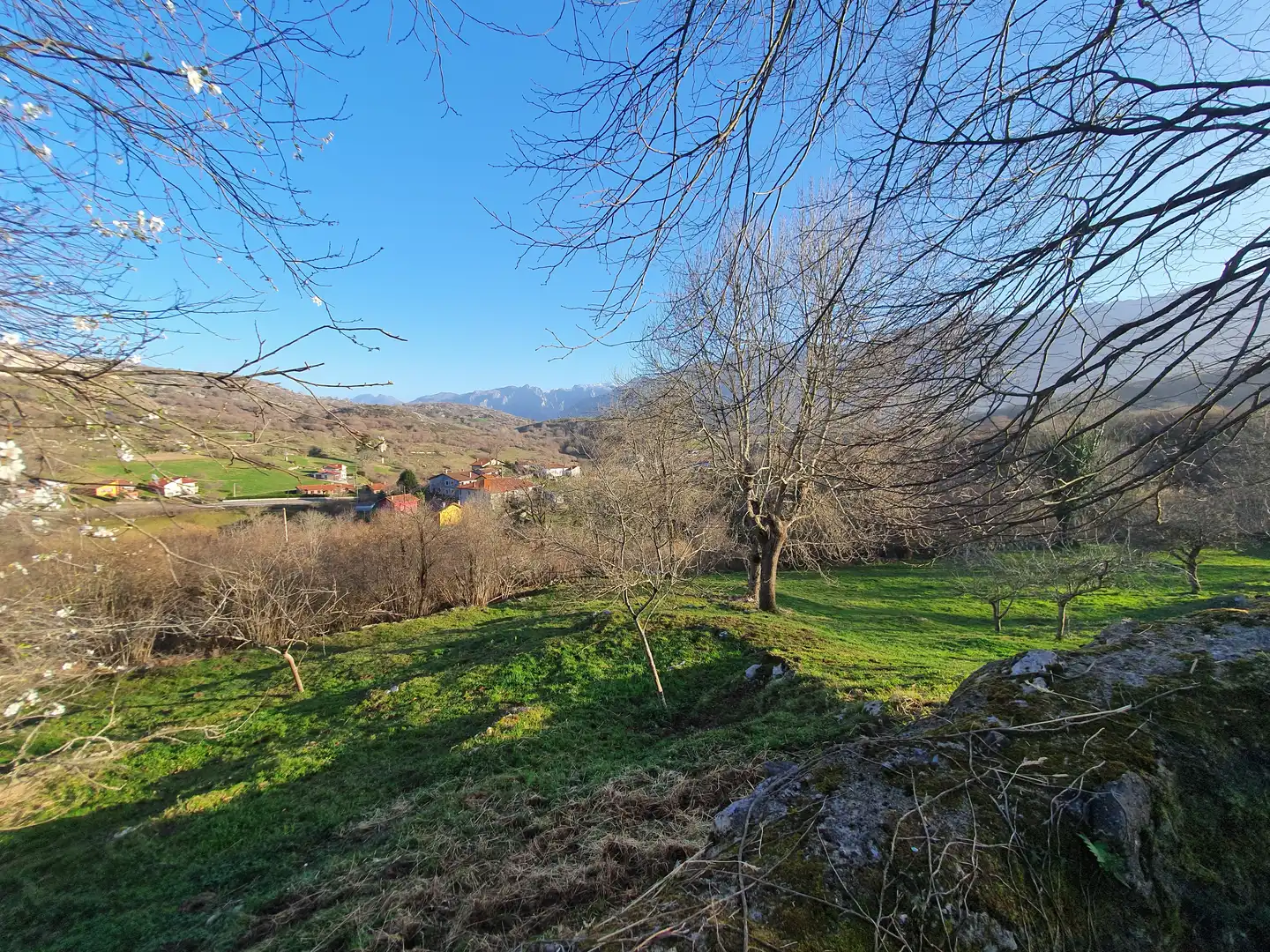 Country homes for sale in Cabrales