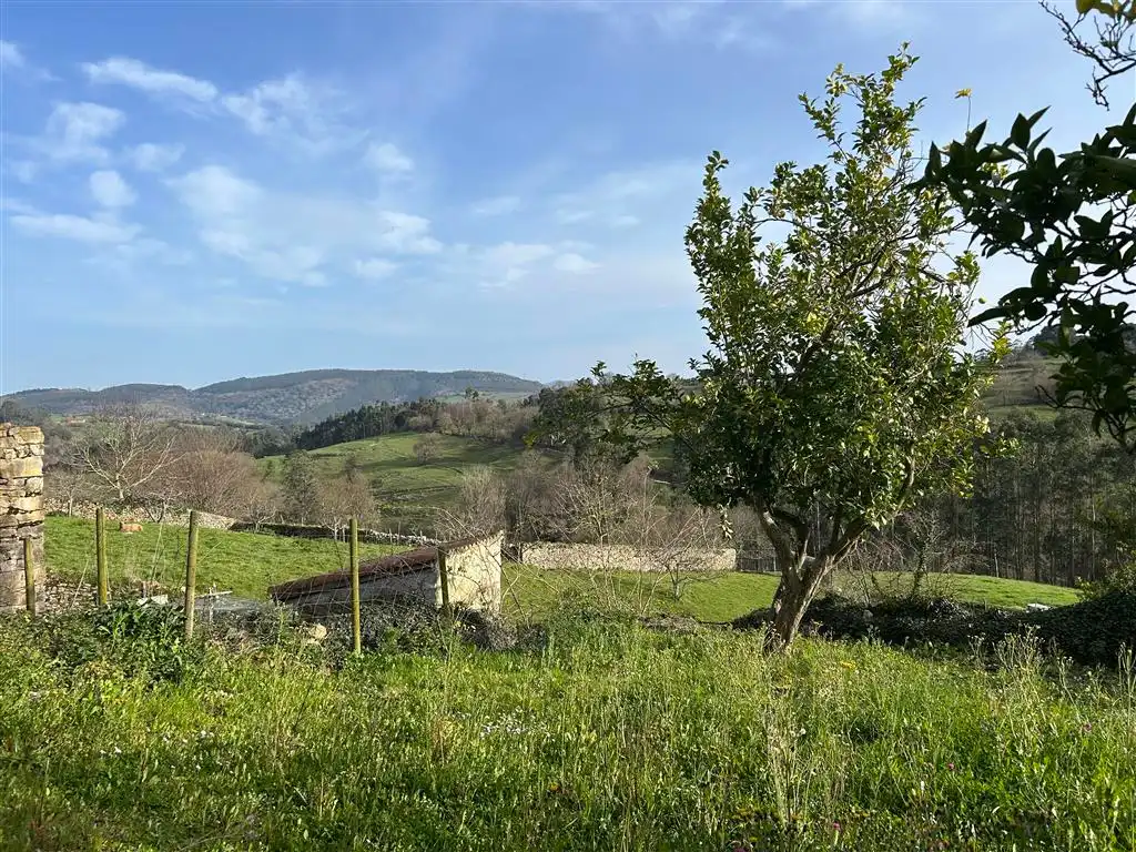 Finca rústica en venta en Val de San Vicente 